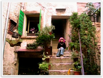 Img_9750 Img_9750