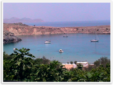 Img_9769 Img_9769