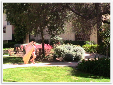 Img_9776 Img_9776